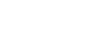 The Sun