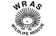 East Sussex Wildlife Rescue & Ambulance Service