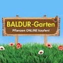 BALDUR-Garten Gutschein