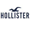 Hollister Sale