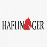 Haflinger