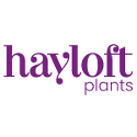 Hayloft Plants Voucher Codes