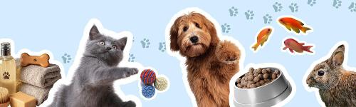 How Much Does it Really Cost to Own a Pet?